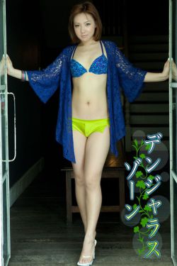 全职高手2季动漫免费观看